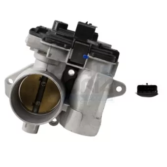 Corps papillon MEAT & DORIA