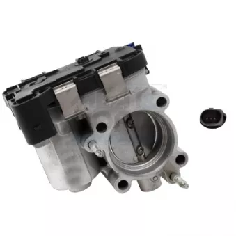 Corps papillon MEAT & DORIA