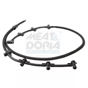 Tuyau, carburant de fuite MEAT & DORIA