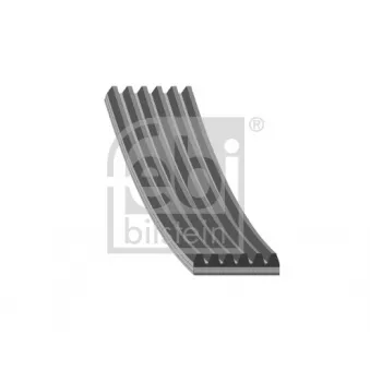 Courroie trapézoïdale à nervures FEBI BILSTEIN