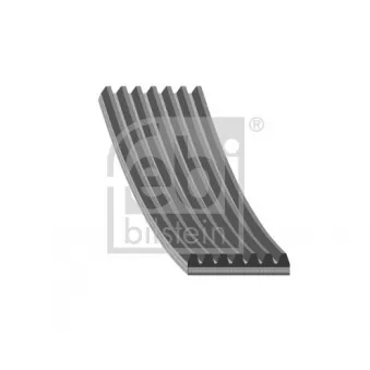 Courroie trapézoïdale à nervures FEBI BILSTEIN