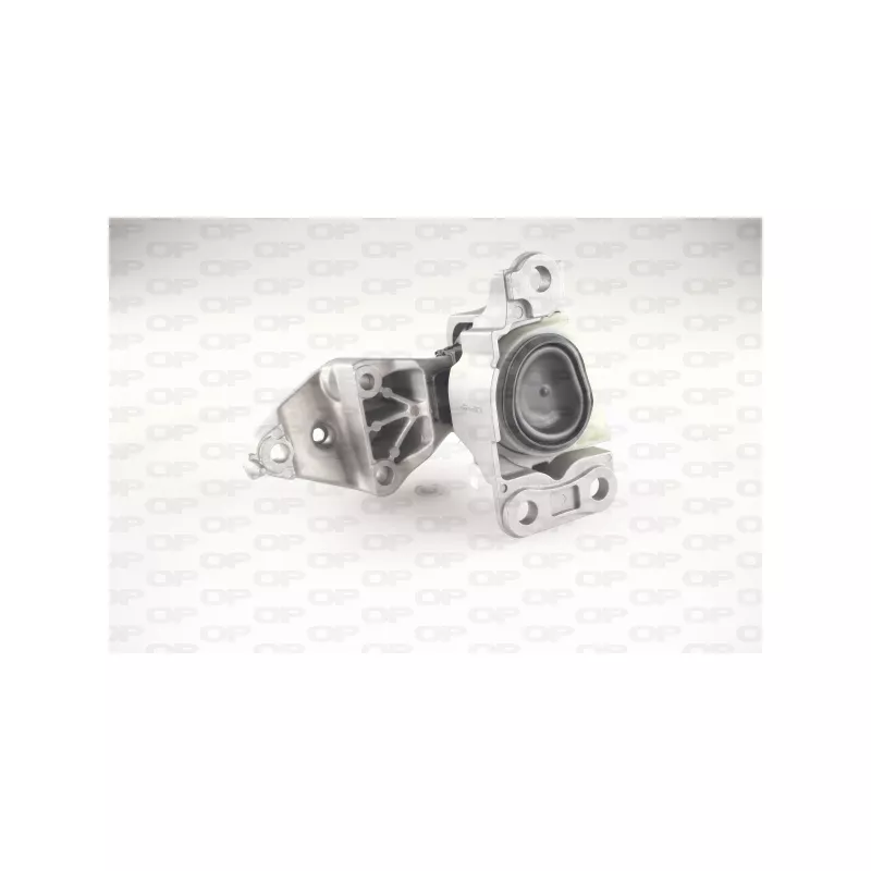 Support moteur OPEN PARTS EMS4288.00