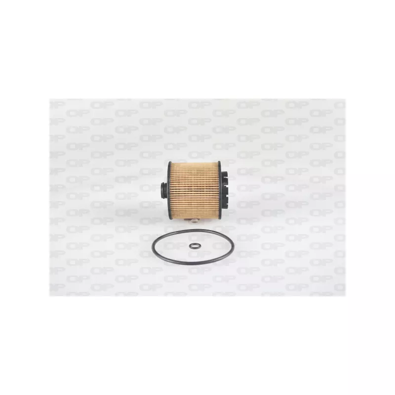 Filtre à huile OPEN PARTS EOF4286.10