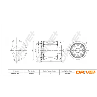 Filtre à carburant Dr!ve+ DP1110.13.0250