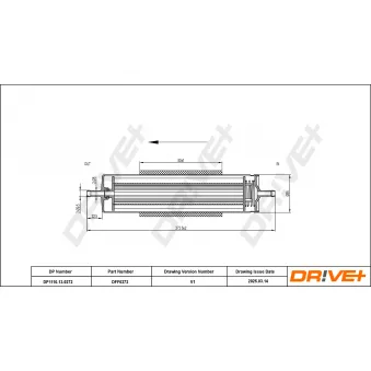 Filtre à carburant Dr!ve+ DP1110.13.0272