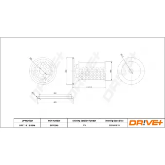 Filtre à carburant Dr!ve+ DP1110.13.0346