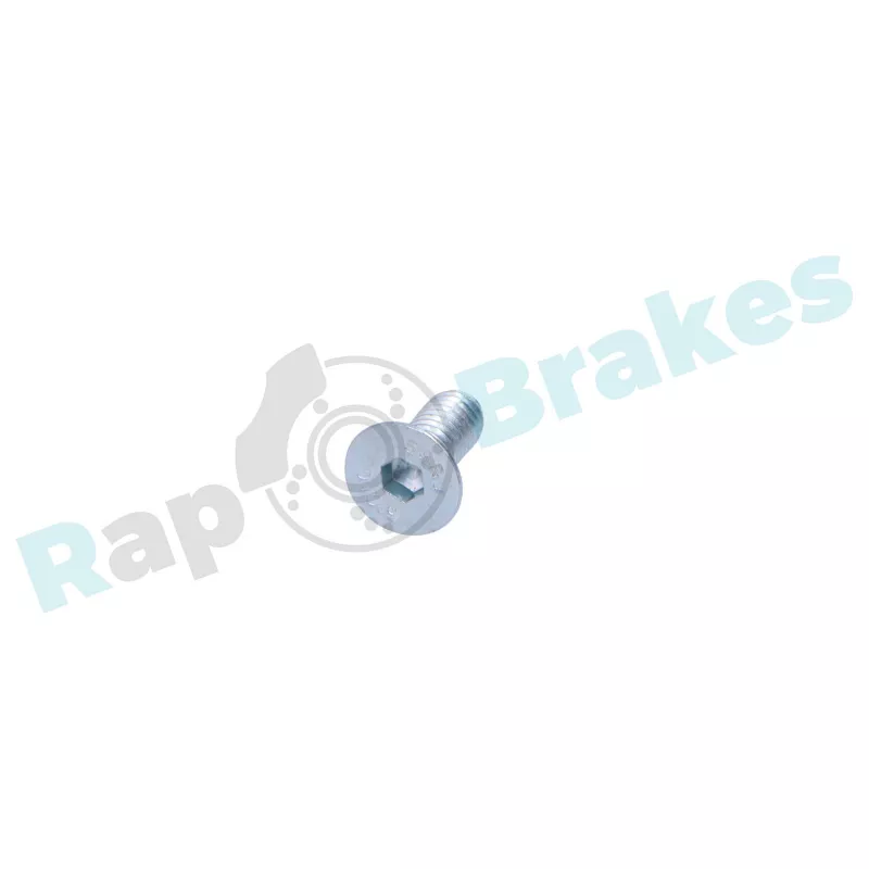 Vis, disque de frein RAP BRAKES R-Z0120