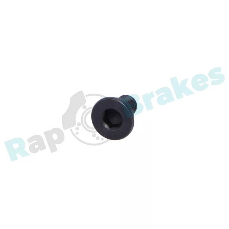 Vis, disque de frein RAP BRAKES R-Z0165