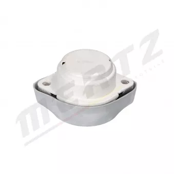 Suspension, boîte automatique MERTZ