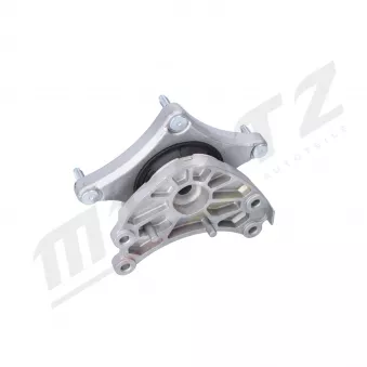 Suspension, boîte automatique MERTZ M-S5325