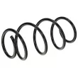 Ressort de suspension TEKNÖR ASZ-FR-006 - Visuel 1