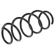 Ressort de suspension TEKNÖR ASZ-FR-019 - Visuel 1