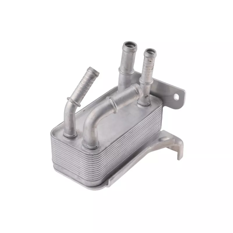 Radiateur d'huile TEKNÖR CCL-FR-043