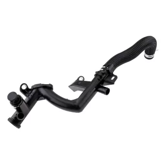 Durite de radiateur TEKNÖR CPP-CT-004