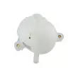 Vase d'expansion, liquide de refroidissement TEKNÖR CZW-HY-005 - Visuel 1