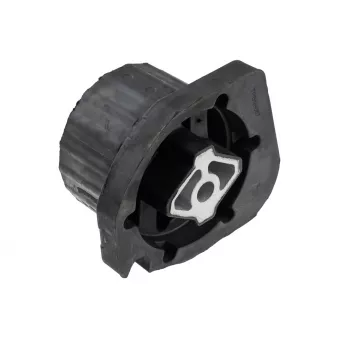 Suspension, boîte automatique TEKNÖR ZPS-BM-067