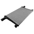 Intercooler, échangeur TEKNÖR CNG-AU-036 - Visuel 1