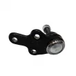 Rotule de suspension CTR CB0041 - Visuel 2