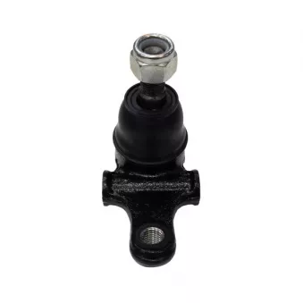 Rotule de suspension CTR