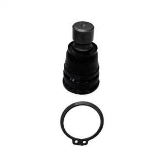 Rotule de suspension CTR