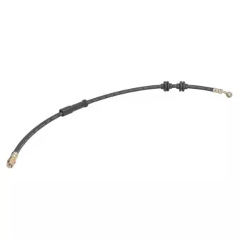 Flexible de frein avant ABE