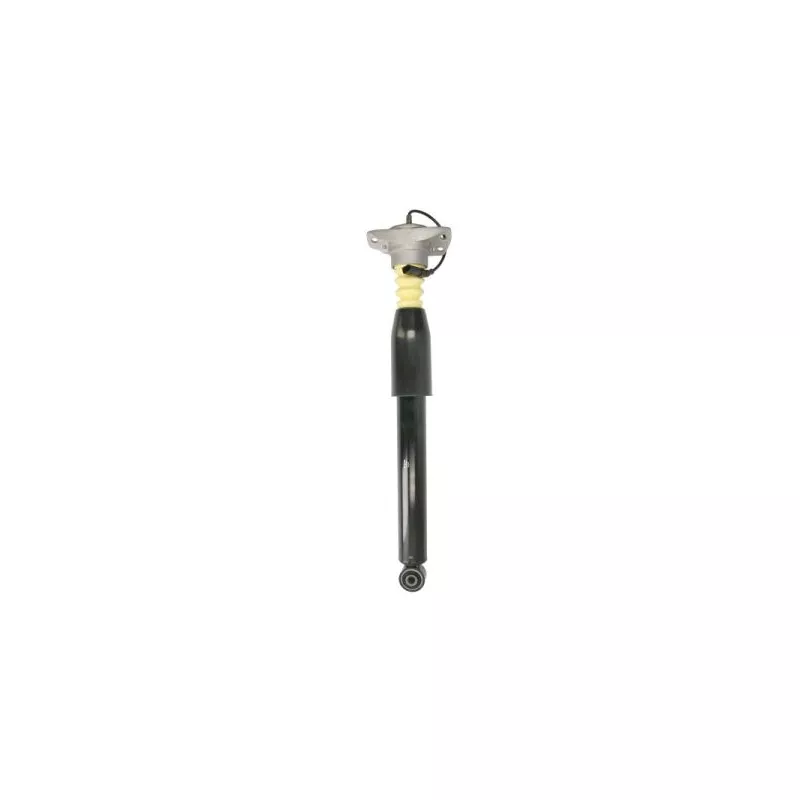 Jeu de 2 amortisseurs avant MAGNUM TECHNOLOGY APA010MT