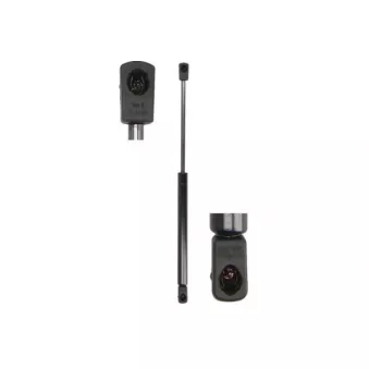 Vérin, capot-moteur MAGNUM TECHNOLOGY