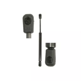 Vérin de hayon, de coffre MAGNUM TECHNOLOGY