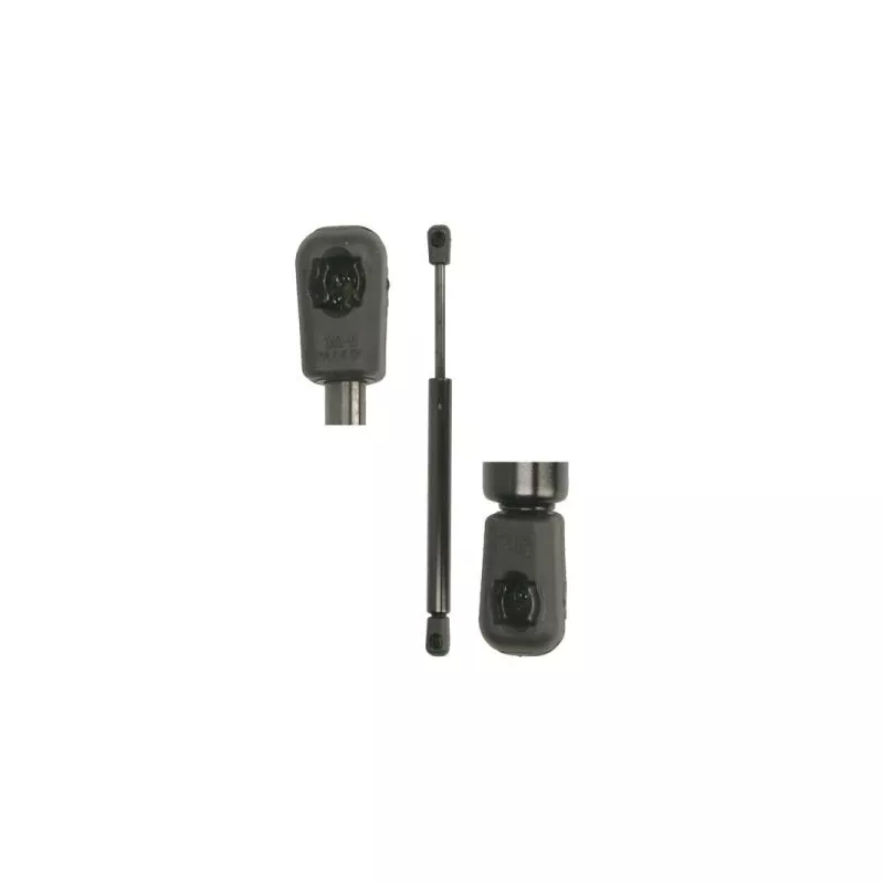 Vérin de hayon, de coffre MAGNUM TECHNOLOGY MGS0091