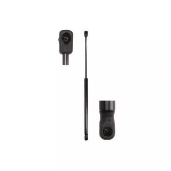 Vérin de hayon, de coffre MAGNUM TECHNOLOGY