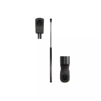 Vérin, capot-moteur MAGNUM TECHNOLOGY