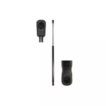 Vérin de hayon, de coffre MAGNUM TECHNOLOGY