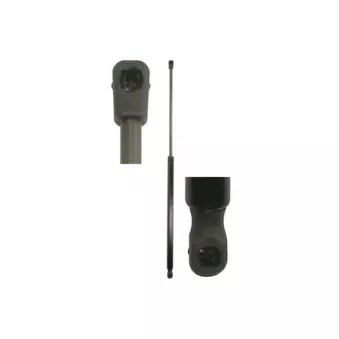 Vérin de hayon, de coffre MAGNUM TECHNOLOGY