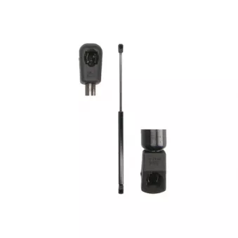 Vérin de hayon, de coffre MAGNUM TECHNOLOGY