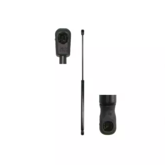 Vérin de hayon, de coffre MAGNUM TECHNOLOGY