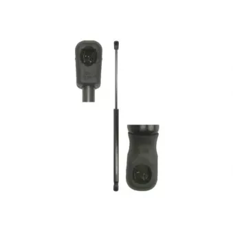 Vérin de hayon, de coffre MAGNUM TECHNOLOGY