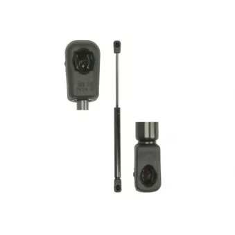 Vérin, vitre arrière MAGNUM TECHNOLOGY