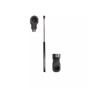 Vérin de hayon, de coffre MAGNUM TECHNOLOGY