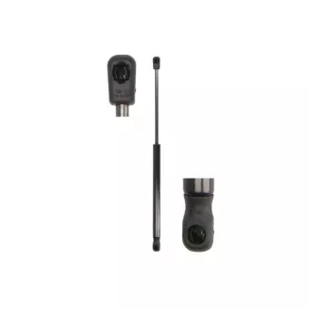 Vérin de hayon, de coffre MAGNUM TECHNOLOGY