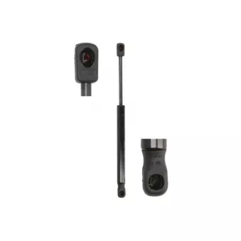 Vérin, capot-moteur MAGNUM TECHNOLOGY