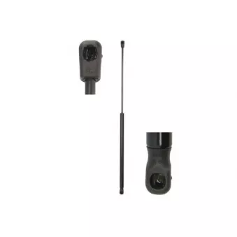 Vérin de hayon, de coffre MAGNUM TECHNOLOGY