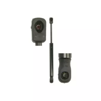 Vérin de hayon, de coffre MAGNUM TECHNOLOGY