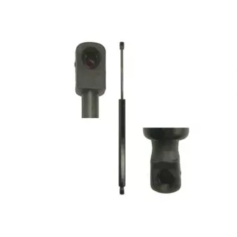 Vérin de hayon, de coffre MAGNUM TECHNOLOGY