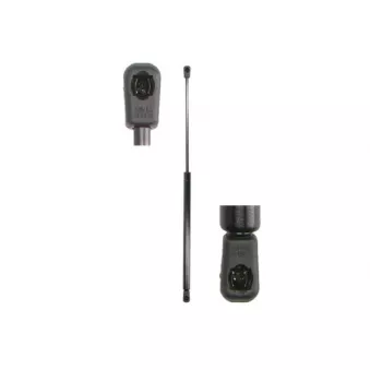 Vérin de hayon, de coffre MAGNUM TECHNOLOGY