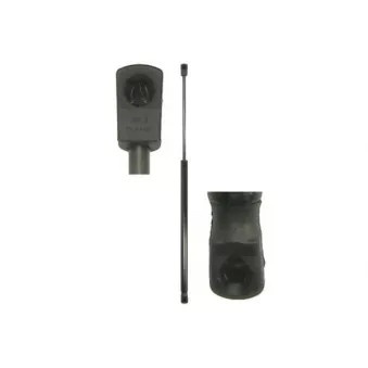 Vérin de hayon, de coffre MAGNUM TECHNOLOGY