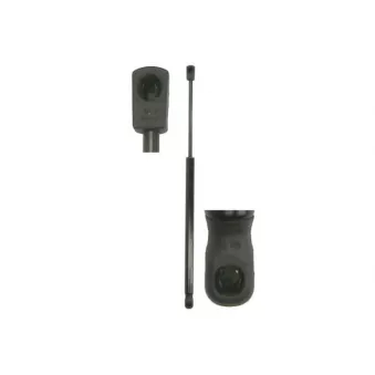 Vérin de hayon, de coffre MAGNUM TECHNOLOGY