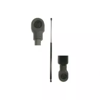 Vérin de hayon, de coffre MAGNUM TECHNOLOGY