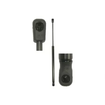 Vérin de hayon, de coffre MAGNUM TECHNOLOGY