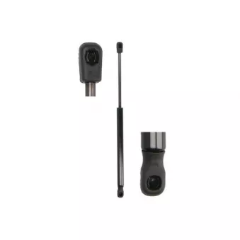 Vérin, capot-moteur MAGNUM TECHNOLOGY