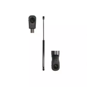 Vérin de hayon, de coffre MAGNUM TECHNOLOGY